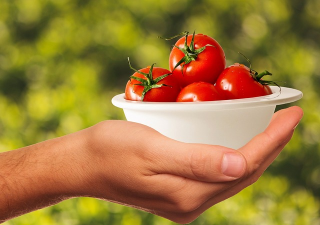Sales Partnerships’ Philadelphia Office Runs Food Bank for a Day