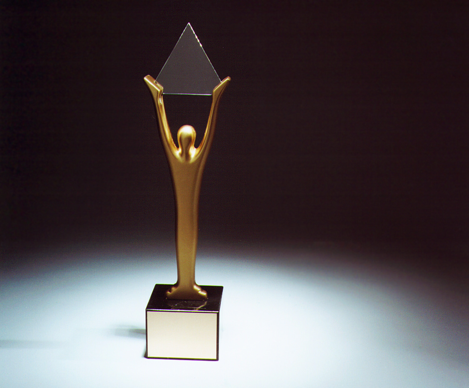 Sales Partnerships Honored with Nine Awards in 2017 Stevie Awards for Sales & Customer Service